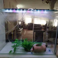 آکواریوم شیشه خم (سالم سالم ) با تمام وسایل