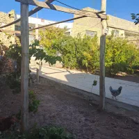 خانه در روستای امامزاده قاسم|فروش خانه و ویلا|کوهپایه, |دیوار