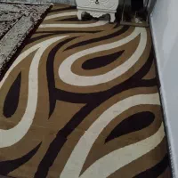 کاملا سالم