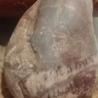 فروش|کلکسیون اشیاء عتیقه|تهران, سجاد|دیوار