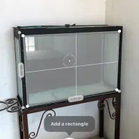 اکواریوم تمیز