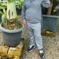 بلوز خشگل و تمیز در حدنو|لباس|اراک, |دیوار