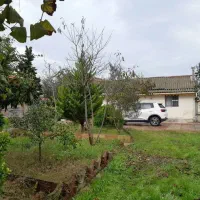 فروش ویلا به قیمت کاسبی|فروش خانه و ویلا|کیاشهر, |دیوار