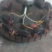 پنکه پاکستانی سقفی