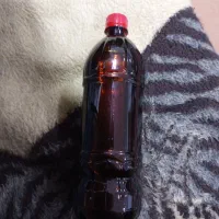 رب انار خانگی