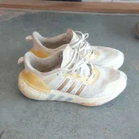 کفش|کیف، کفش، کمربند|گنبد کاووس, |دیوار