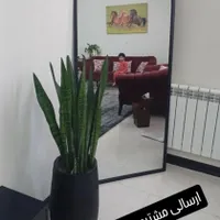 آینه قدی|آینه|پارس‌آباد, |دیوار