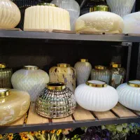 گلدان رنگ ثابت