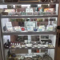 سکه و اسکناس کلکسیونی