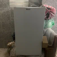 یخچال هتلی پولار