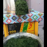 حراج حراج لطفا بخوان سبز خشک رامهرمز