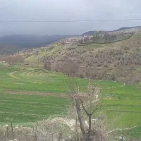 گروه دورهمی
