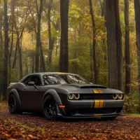 سرویس مدارس