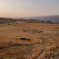 اجاره زمین کشاورزی دیم