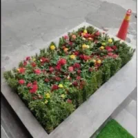 خدمات باغبانی و گل کاری در تمام نقاط تهران|خدمات باغبانی و درختکاری|تهران, سعادت‌آباد|دیوار