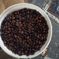 قهوه روبوستا دابل فول 100درصد|خوردنی و آشامیدنی|مشهد, شهرک امام هادی (شهرک غرب)|دیوار