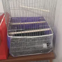 قفس کاسکویی