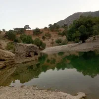 زمین مسکونی