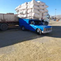 فروش کاه نخود قرمز  خرواری 3500