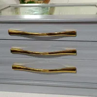 جاقاشقی ایستاده نو