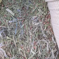جایگزین یونجه (خارشتر)