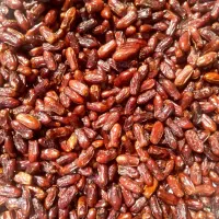 خرمای آجیلی|خوردنی و آشامیدنی|لامرد, |دیوار
