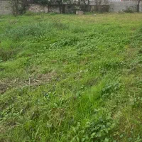 زمین-مسکونی-250-متر-زیر-قیمت