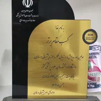 ساخت تندیس اختصاصی مراسمات و رویدادها|مجسمه، تندیس، ماکت|تهران, صفا|دیوار