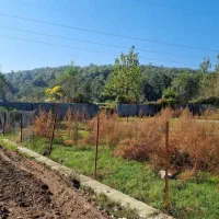 فروش-فوری-زمین-200-متری-با-سند-تکبرگ