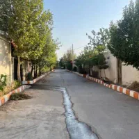 ۳واحد مسکونی با مغازه دوبله ۲۵۰ متری ناظریه نیلوفر|فروش آپارتمان|مشهد, میان ولایت|دیوار