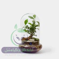 تراریوم بنسای - گیفت شرکتی - فاکتور رسمی|گل و گیاه طبیعی|تهران, آهنگ|دیوار