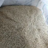 برنج چمپه تازه خوش طعم