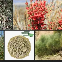 کارگر برای کشاورزی