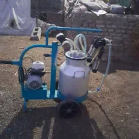 شیردوش|لوازم جانبی حیوانات|سلماس, |دیوار