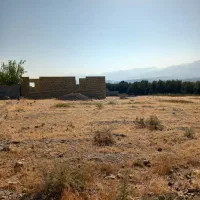 فروش زمین مسکونی|فروش زمین و ملک کلنگی|طارم (زنجان), |دیوار