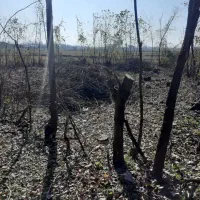 ۲۸۵متر زمین روستایی با نامه بنیاد