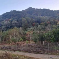 زمین 300 متر منطقه بکر آب و هوایی رامسر بهشت ایران