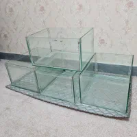 آکواریوم شیشه‌ای