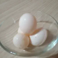 تعدادی تخم کفتر تازه