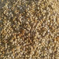 توت خشک درجه یک کردستان .فروش به صورت عمده|عمده‌فروشی|رشت, چله خانه|دیوار