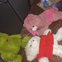 عروسک خرسی|اسباب‌بازی بچه|رشت, جانبازان|دیوار