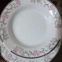 ظروف سرو وپذیرای