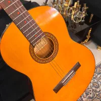 گیتار پرینس|گیتار، بیس، امپلیفایر|تهران, شهرک بوعلی|دیوار