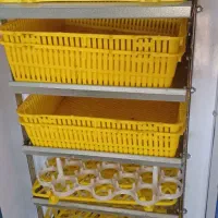 دستگاه جوجه کشی بلدرچین دماوند