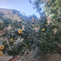 زمین-شهرا-17ممیز-4