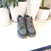 کوچک شده است