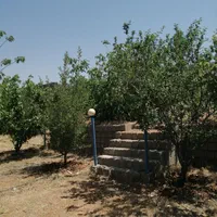 فروش باغچه 1200 متری در خان زنیان دهنو قلندری|فروش زمین و ملک کلنگی|شیراز, شهرک امیر کبیر|دیوار