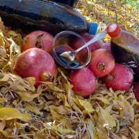 فروش|خوردنی و آشامیدنی|استهبان, |دیوار