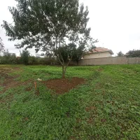 زمین مسکونی|فروش زمین و ملک کلنگی|ماکلوان, |دیوار