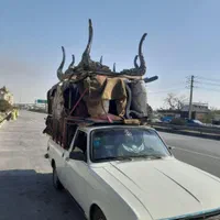 باربری حمل باروانت ونیسان  کماشهر وگلشهر مهرشهر|خدمات حمل و نقل|کرج, گلشهر|دیوار